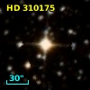 HD 310175