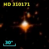 HD 310171