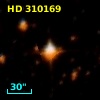 HD 310169