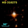 HD 310275