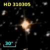 HD 310305