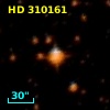 HD 310161