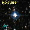 HD  91559