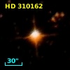 HD 310162