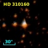 HD 310160