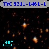 TYC 9211-1481-1