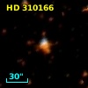 HD 310166