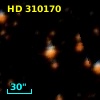 HD 310170