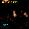 HD 310172