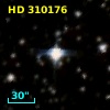 HD 310176