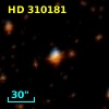 HD 310181