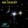 HD 310197