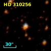 HD 310256