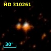 HD 310261