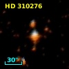 HD 310276