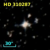 HD 310287