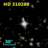 HD 310288