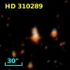 HD 310289