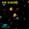 HD 310290
