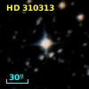 HD 310313