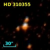 HD 310355