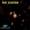 HD 310358