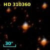 HD 310360