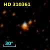 HD 310361