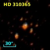 HD 310365