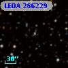 LEDA  286229