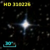 HD 310226