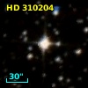HD 310204