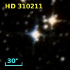 HD 310211