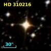 HD 310216