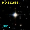 HD 311636
