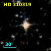 HD 310319