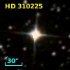 HD 310225
