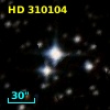 HD 310104