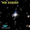 HD 310203