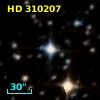 HD 310207