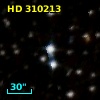 HD 310213