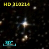 HD 310214