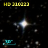 HD 310223