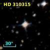 HD 310315