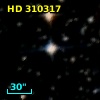 HD 310317
