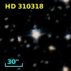 HD 310318