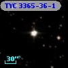 TYC 3365-36-1