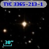 TYC 3365-213-1