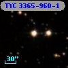 TYC 3365-960-1