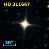 HD 311667
